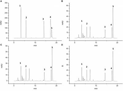 Pulsatilla Decoction Can Treat the Dampness-Heat Diarrhea Rat Model by Regulating Glycerinphospholipid Metabolism Based Lipidomics Approach